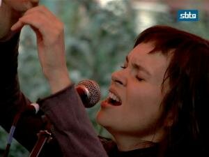 pingina-lastochka-2.jpg